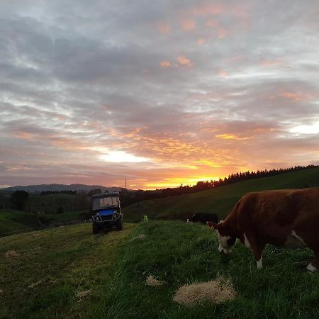 Above The River Karapiro Bed & Breakfast Екстер'єр фото