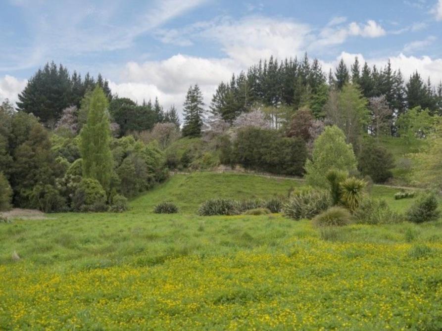 Above The River Karapiro Bed & Breakfast Екстер'єр фото