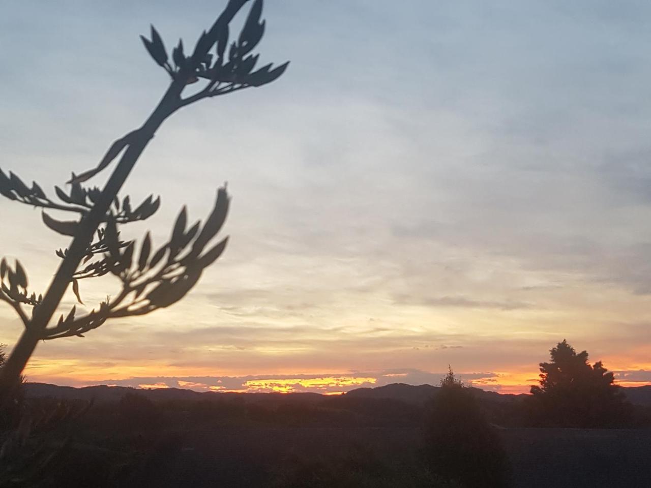 Above The River Karapiro Bed & Breakfast Екстер'єр фото