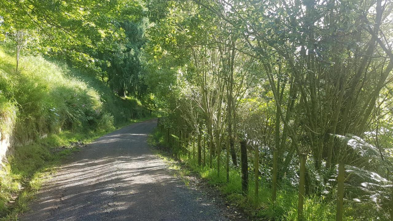 Above The River Karapiro Bed & Breakfast Екстер'єр фото