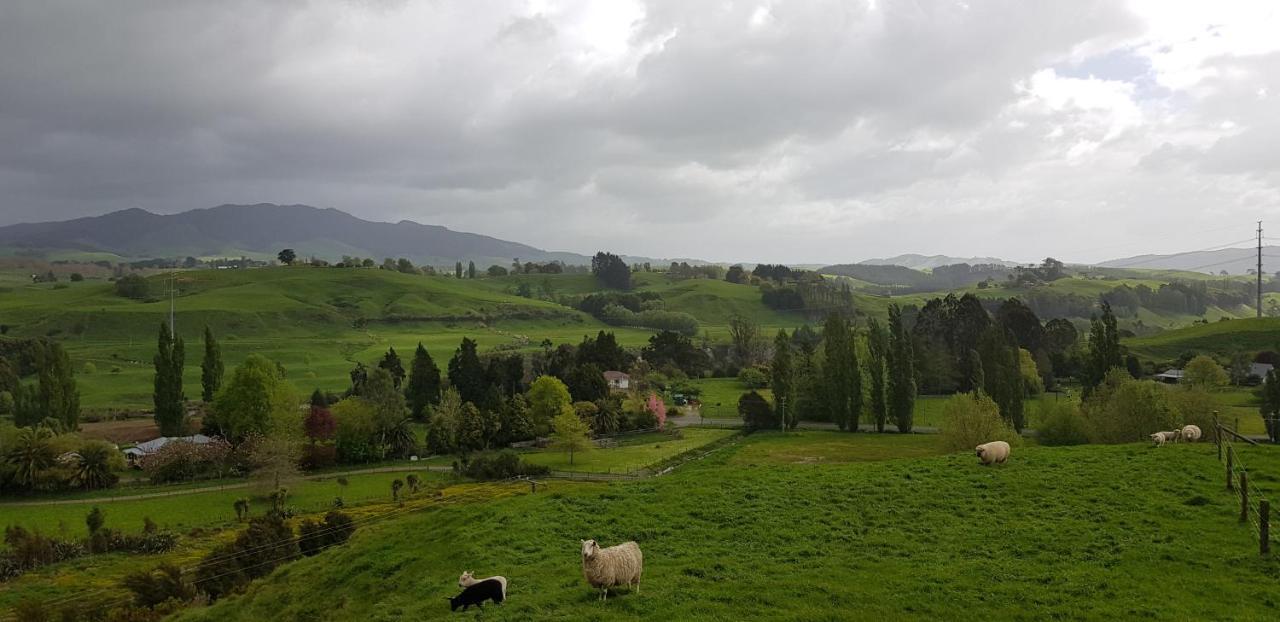 Above The River Karapiro Bed & Breakfast Екстер'єр фото